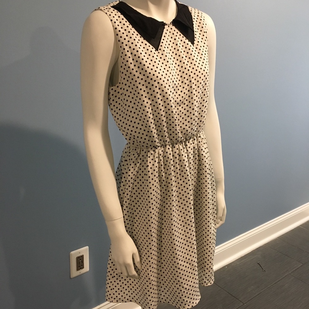 White & Black Polkadot Dress with Mesh Collar